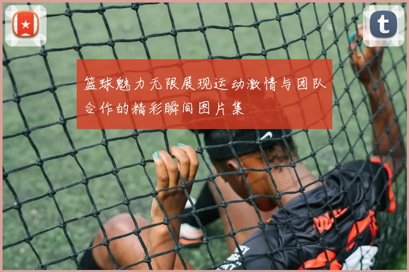 篮球魅力无限展现运动激情与团队合作的精彩瞬间图片集