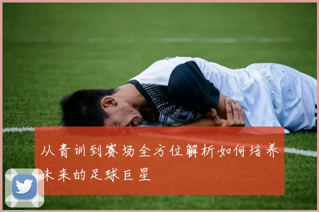 从青训到赛场全方位解析如何培养未来的足球巨星