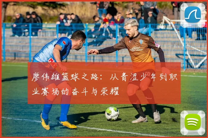 廖伟雄篮球之路：从青涩少年到职业赛场的奋斗与荣耀