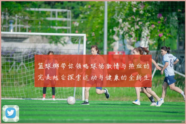 篮球椰带你领略球场激情与热血的完美结合探索运动与健康的全新生活方式